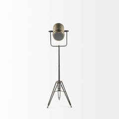 61" Antiqued Gold LED Movie Set Floor Lamp With Gold Metal Shade
