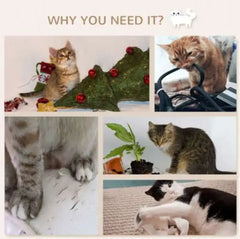 Cat Wall Shelves Set Furniture