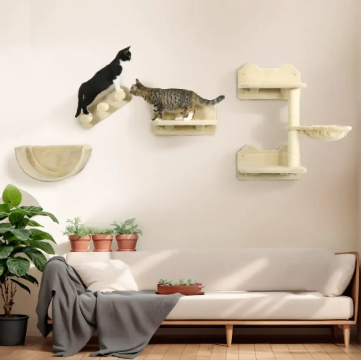 Cat Wall Shelves Set Furniture