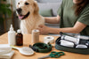 Best Quality Pet Health Supplies: 2026 Guide