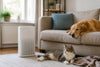 How to Pick the Right Air Purifier for Allergies and Pets