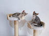 Beyond the Basic Perch: Integrating Tall Cat Towers and the Zendrop Platform for Comprehensive Feline Vertical Territory