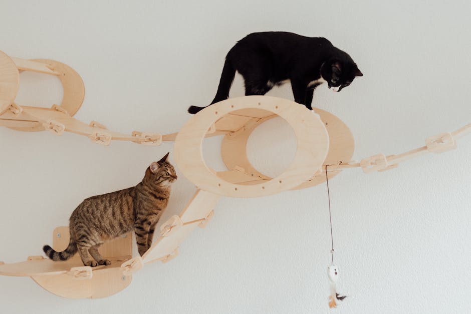 Designing for Delight: Selecting Modern Cat Furniture That Complements Your Decor and Meets Your Cat's Activity Needs
