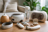 Top Rated Wellness Gadgets 2026