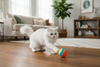 Discover the Best Toys for Cats: The Interactive Cat Toy Ball for Endless Indoor Fun