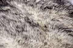 Gradient Gray Animal Print Area Rug featuring a soft, textured surface with a blend of gray and white fur-like patterns.