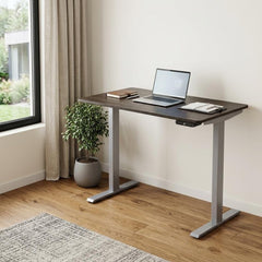 Adjustable Black and Gray Stainless Steel Rolling Standing Desk with a laptop on top, set in a bright room with a plant.
