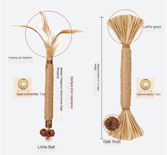 New Cat Dental Chew Toys with Insect Galls and Wood