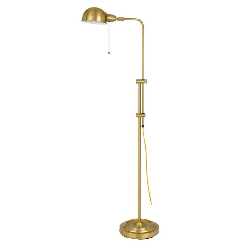 Adjustable brass floor lamp with a single base, straight pole, and bronze metal dome shade.