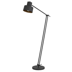 65" black adjustable floor lamp with a traditional shape and black dome shade, featuring a sleek design and sturdy base.