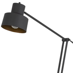 Black adjustable floor lamp with a traditional shape and dome shade, featuring a sleek design and articulated arm for versati