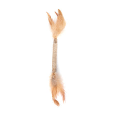 New Cat Dental Chew Toys with Insect Galls and Wood