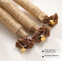 New Cat Dental Chew Toys with Insect Galls and Wood